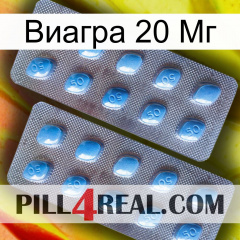 Виагра 20 Мг viagra4